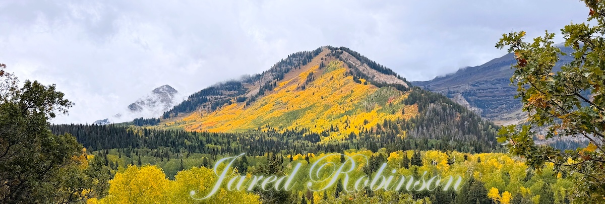 Welcome to Jared Robinson's Page